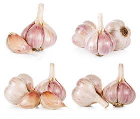 garlic collection isolated