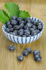 Blueberries in a bowl