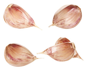 garlic collection isolated