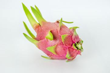 Fresh pink pitaya