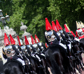 The household cavalry London England 