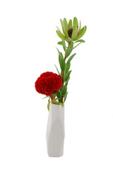 Red and green flowers. Brain Celosia Flower Or Cockscomb Flower with an exotic green flower in a minimalist asymmetrical vase
