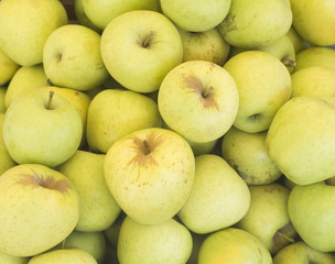 Close up of a pile of sweet fresh ripe green apples. Fruit background. Healthy eating. Fall harvest, agricultural farming concept