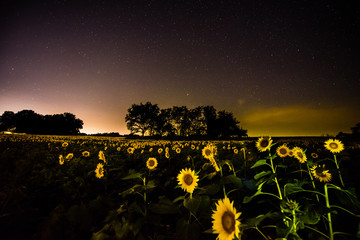 The Milky Way and other stars over Grinter's Farm - Lawrence, KS