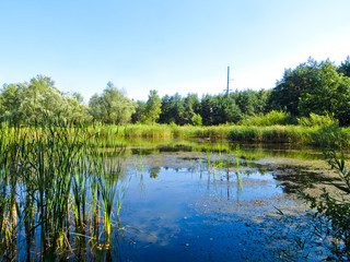 Beautiful lake and blue sky on summer