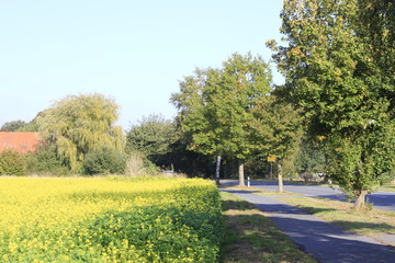 Ritterhude im Herbst