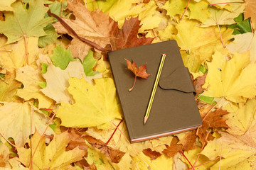 Закрытая записная книга и карандаш на жёлтой листве