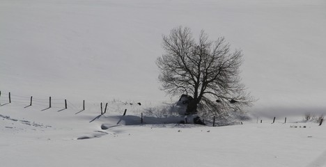 Auvergne hivernale