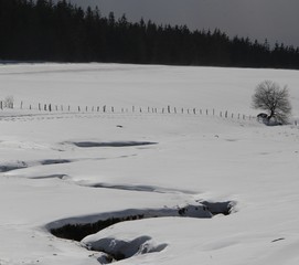 Auvergne hivernale