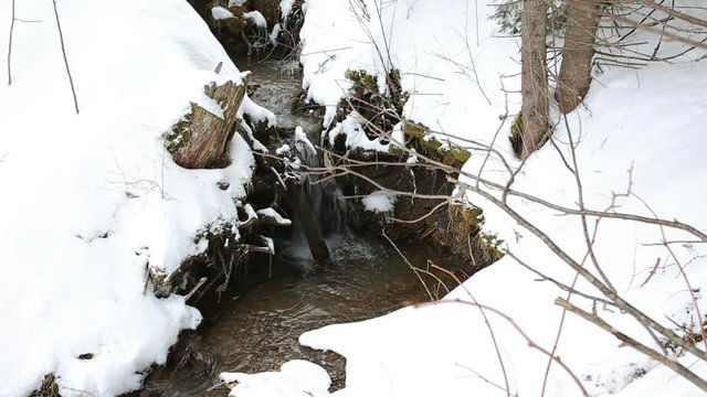 Creek in winter forest, Adelboden, Switzerland 
