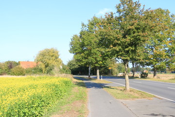 Ritterhude im Herbst