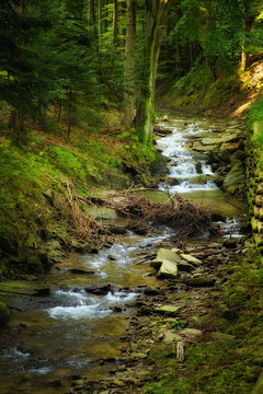Beautiful Roztoka valley in Rytro
