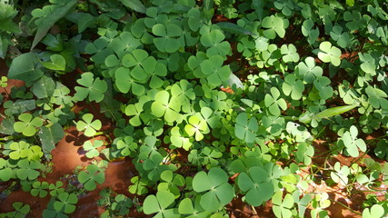 Beautiful unique landscape and streetlife of Vietnam