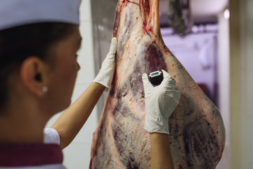 Meat quality control in butchery.