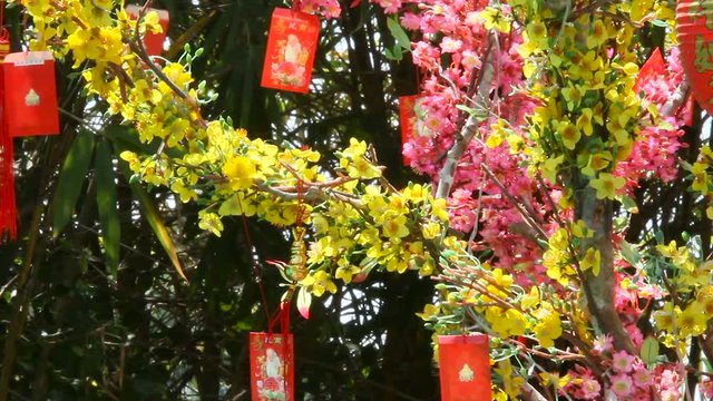 Red chinese New Year decorations - paper cards with paintings. Symbols of luck and protection. Cambodia.