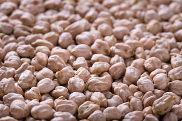 Raw chickpea beans macro background