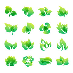 Leaf icon vector illustration.