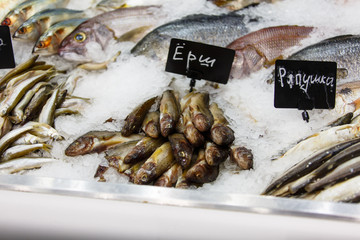 The counter with fresh fish, which lies on the ice. On the plate