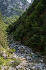 Gebirgsbach, Wildnis im Tal Valle di Piero; Nationalpark Bellunesische Dolomiten  
