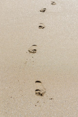 footprints on the beach