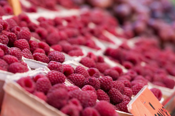 Fresh raspberries in boxes on sale