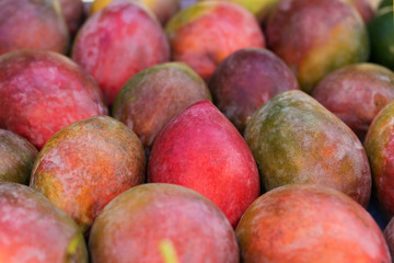 Mango background
