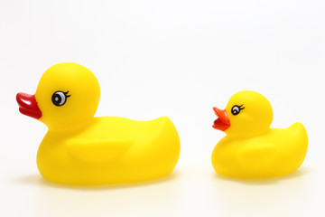 アヒルのおもちゃ　白背景