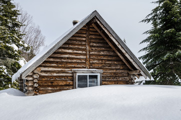 Log cabin