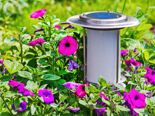 Solar-powered garden lamp on flower background. Closeup.
