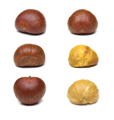 Roasted Chestnut isolated