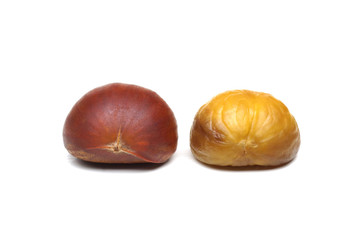 Roasted Chestnut isolated
