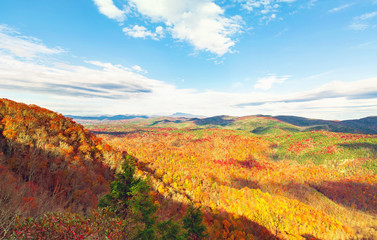 Fototapeta premium Blue Ridge Mountains in autumn in North Carolina