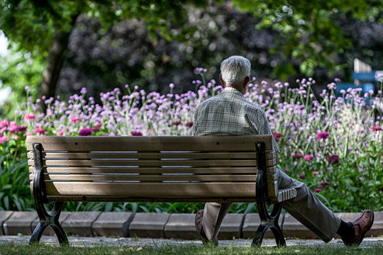 Senior man sitting on banch in garden