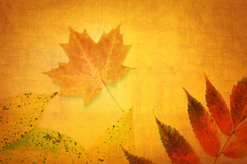 Abstract Fall Leaves on Orange Background