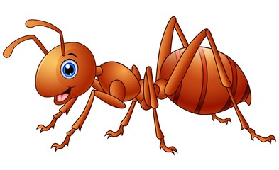 Happy ant  cartoon 