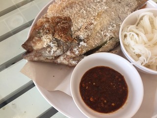 Tilapia grilled on white dish