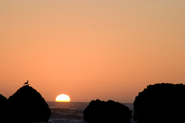 Obraz premium Cannon Beach Sunset