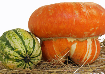 orange pumpkin and a green pumpkin on the straw in the fall