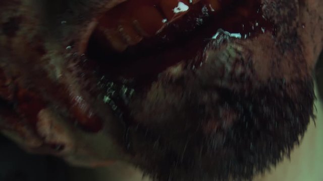 Closeup of Zombie Man with Glasses, biting with blood coming out of his mouth.