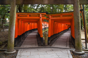 Fushimi Inari shrine in Kyoto, Japan