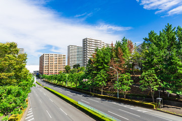 住宅街の幹線道路