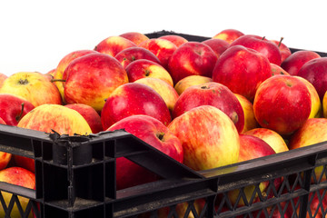 Crate with red apples on a white background