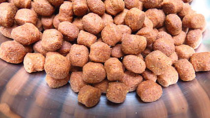 Pet Food