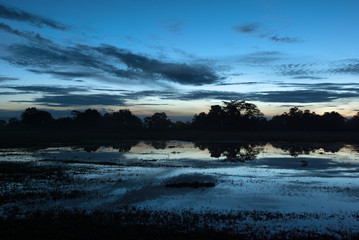 Twilight and reflection off a flooded tropical landscape after overnight rain.