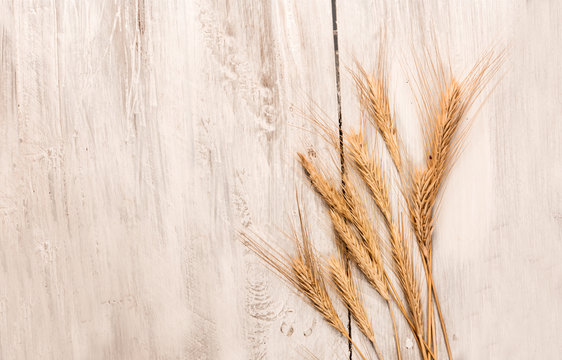 Oat crops, shot from above on rustic wooden background