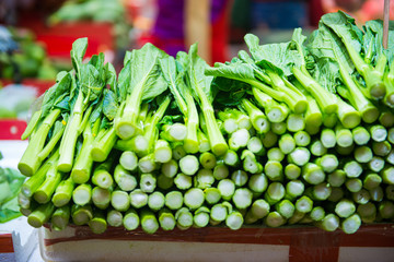 fresh bok choy vegetable (Chinese cabbage) for sale