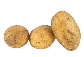 Raw potato isolated on white background