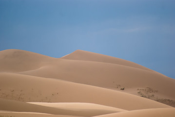 Fototapeta na wymiar Sand dunes in Gobi desert.