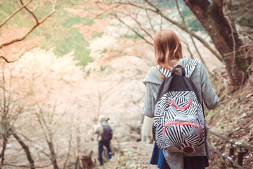 Rear view of young woman traveler hiker carrying her backpack walking outdoor in nature on a sunny day, Travelling concept