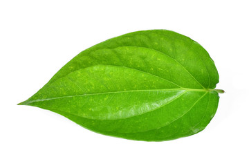Fototapeta na wymiar Green betel leaf heart shape isolated on white